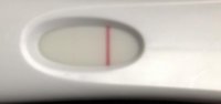10 dpo E.jpg
