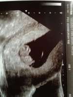 bebe-8and5d.jpg