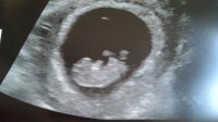 2013-01-10_12-28-34_104.jpg