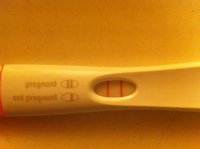 test 15dpo.jpg