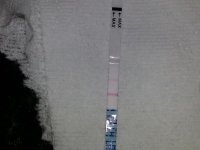 CD10.jpg