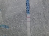 CD11.jpg