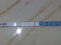 CD12.jpg