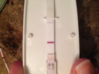 10 dpo 2300.jpg