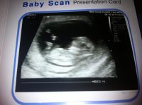scan.jpg