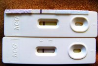 poas 010.jpg