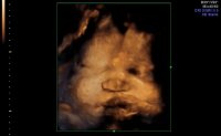 BABY 1-17_3.jpg