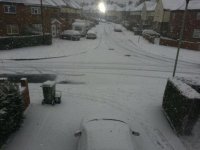 snow.jpg