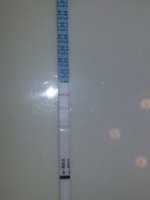 CD14.jpg