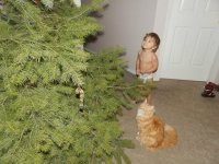 Trouble kitty.jpg