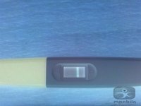 38EB6796-DA41-458A-B926-C12C64CFFA65-436-0000005BDBD2E1B3_zps691a5de3.jpg