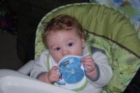 sippy.jpg