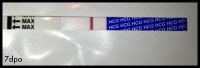 7dpo.jpg