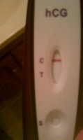 IMAG0504.jpg