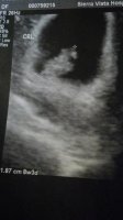 Scan  1-23-13.jpg
