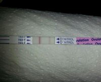 OPK 2 Jan 23rd AM.jpg