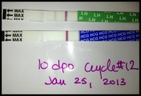 10dpo.jpg