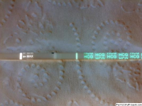 9DPO Afternoon.png