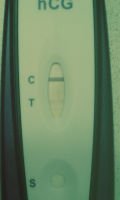 IMAG0512_opt.jpg