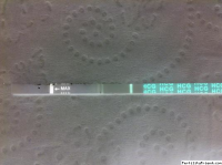 10 DPO Evening Invert.png