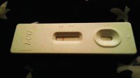 20130130_2039213.jpg