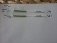 20130201_121138.jpg