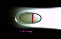 9 dpo 2 1 2013.jpg