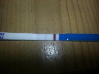20130202_083420.jpg