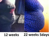 12v22weeks.jpg