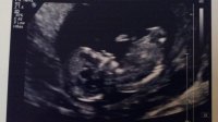 2013-02-01_14-05-21_830.jpg
