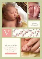 babyannouncementfront.jpg