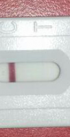 IMG_20130204_2.png