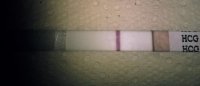Feb 4 2013 88 cent test 1.jpg