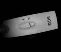 20130205_081212_edit0.jpg