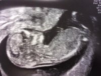 Scan Pic 2.jpg
