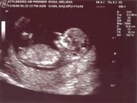 12 weeks (5).jpg