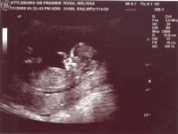 12 weeks (3).jpg