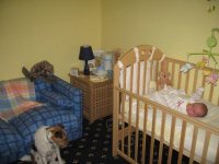 Nursery 2.jpg