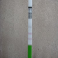 test.jpg