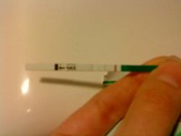 CD22.jpg