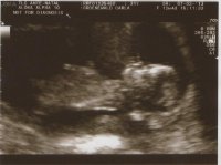 Baby07022013a.jpg