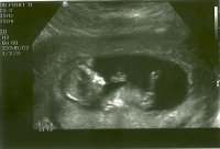 scan0004.jpg