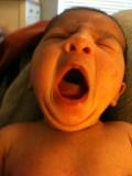 114-yawwwwn - Copy.JPG