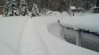 2013-02-09_10-58-47_799.jpg