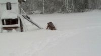IMG_20130209_110648.jpg