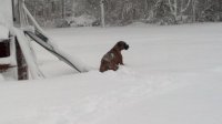 2013-02-09_11-01-50_497.jpg