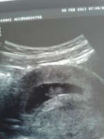 2013-02-09 13.50.23.jpg
