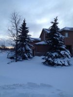 snow3.jpg