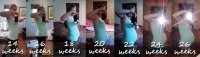 14-26weeks.jpg