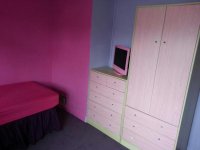 pink 4.jpg